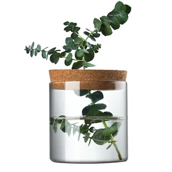 Декоративная стеклянная ваза для гидропоники с зеленым растением, элегантная цветочная композиция, украшение для гостиной, офиса, украшения для дома